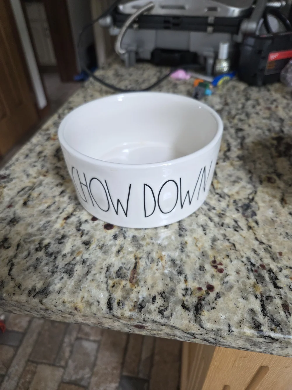 Rae Dunn White Ceramic Dog Bowl with Blue Accent